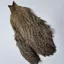 Whiting Coq de Leon Hen Cape in Silver Speckled